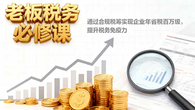 老板税务必修课,通过合规税筹实现企业年省税百万级,提升税务免疫力-琪哥网创