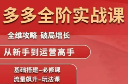 大炮·拼多多全阶实战课程(更新10月)-琪哥网创