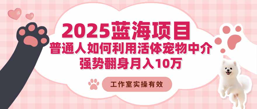 2025蓝海项目：普通人如何利用活体宠物中介，强势翻身月入10万-琪哥网创