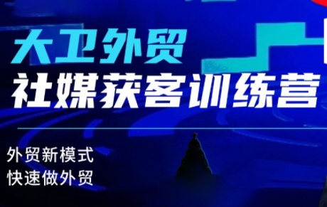 大卫老师·外贸社媒获客独家训练营(更新)-琪哥网创