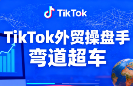 TikTok外贸操盘手(更新11月)-琪哥网创