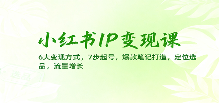 小红书IP变现课：6大变现方式，7步起号，爆款笔记打造，定位选品，流量增长-琪哥网创